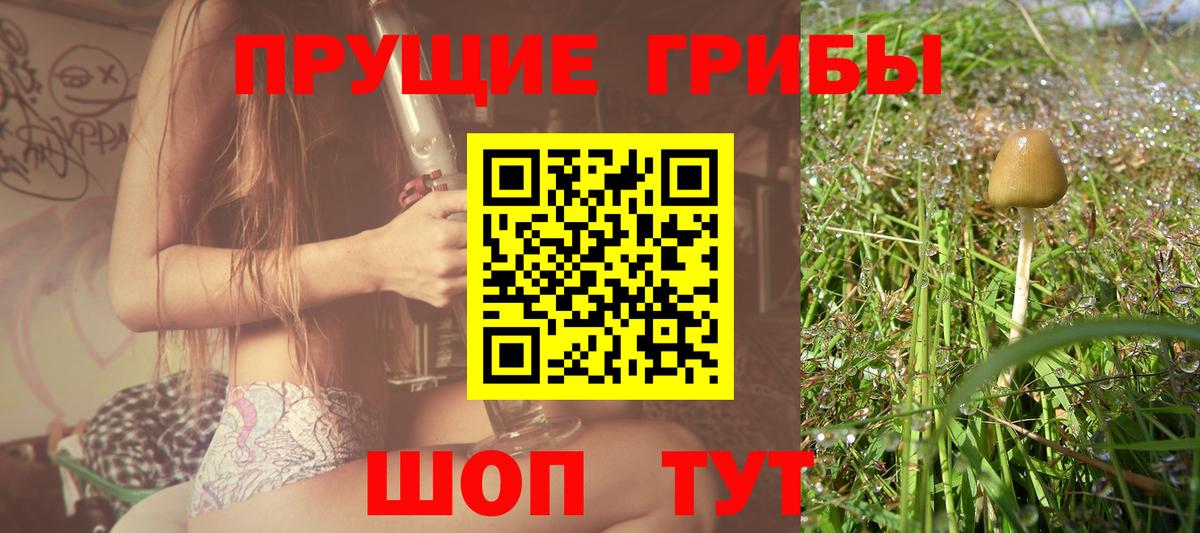 купить закладку  Галлюциногенные грибы ЛСД  Вход с VPN  Котлас 